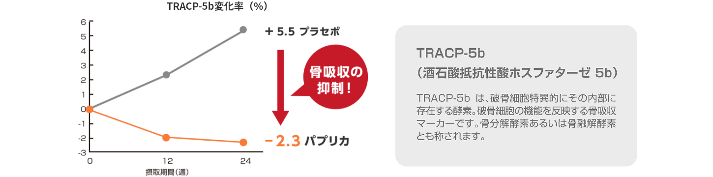 TRACP-5b（酒石酸抵抗性酸ホスファターゼ 5b）は、破骨細胞特異的にその内部に存在する酵素。破骨細胞の機能を反映する骨吸収マーカーです。コツ分解酵素あるいは骨融解酵素とも称されます。