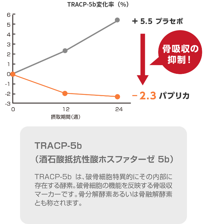 TRACP-5b（酒石酸抵抗性酸ホスファターゼ 5b）は、破骨細胞特異的にその内部に存在する酵素。破骨細胞の機能を反映する骨吸収マーカーです。コツ分解酵素あるいは骨融解酵素とも称されます。