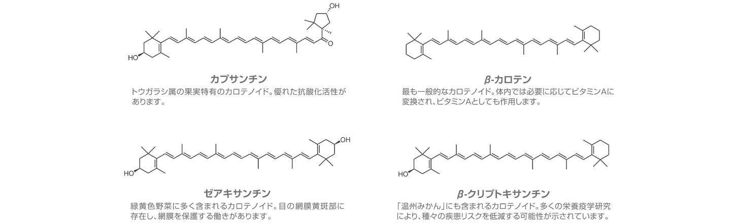 カプサンチン トウガラシ属の果実特有のカロテノイド。優れた抗酸化活性があります。,β-カロテン もっとも一般的なカロテノイド。体内では必要に応じてビタミンAに変換され、ビタミンAとしても作用します。,ゼアキサンチン 緑黄色野菜に多く含まれるカロテノイド。芽の網膜黄斑部に存在し、網膜を保護する働きがあります。,β-クリプトキサンチン 「温州みかん」にも含まれるカロテノイド。多くの栄養疫学研究により、種々の疾患リスクを低減する可能性が示されています。