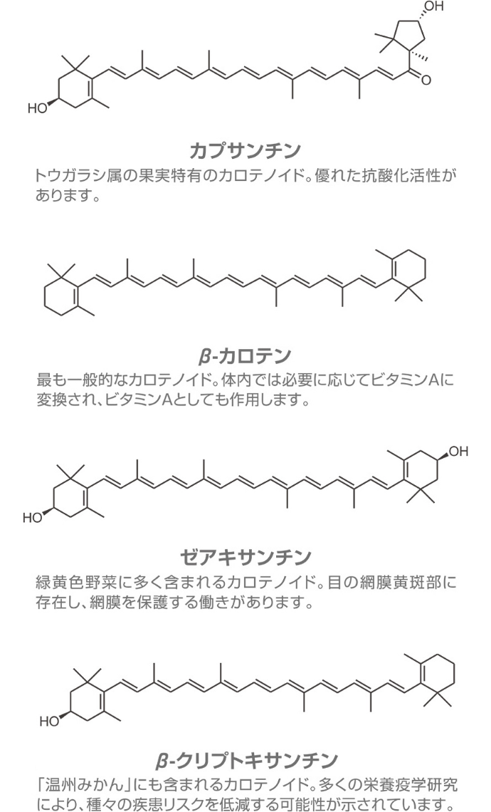 カプサンチン トウガラシ属の果実特有のカロテノイド。優れた抗酸化活性があります。,β-カロテン もっとも一般的なカロテノイド。体内では必要に応じてビタミンAに変換され、ビタミンAとしても作用します。,ゼアキサンチン 緑黄色野菜に多く含まれるカロテノイド。芽の網膜黄斑部に存在し、網膜を保護する働きがあります。,β-クリプトキサンチン 「温州みかん」にも含まれるカロテノイド。多くの栄養疫学研究により、種々の疾患リスクを低減する可能性が示されています。