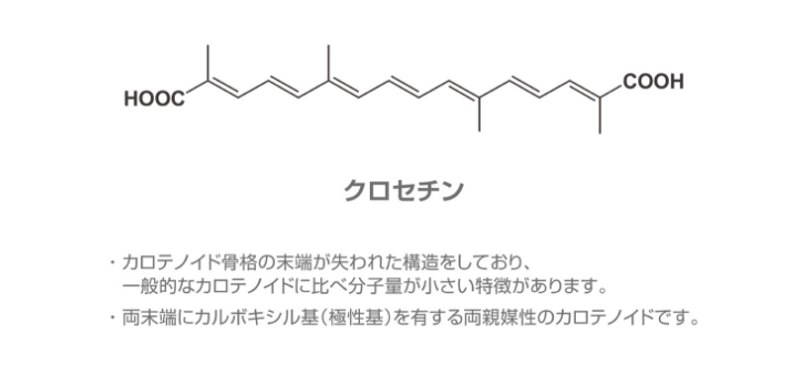 カロテノイド骨格の末端が失われた構造をしており、一般的なカロテノイドに比べ分子量が小さい特徴があります。 量末端にカルボキシル基（極性基）を有する両親媒性のカロテノイドです。