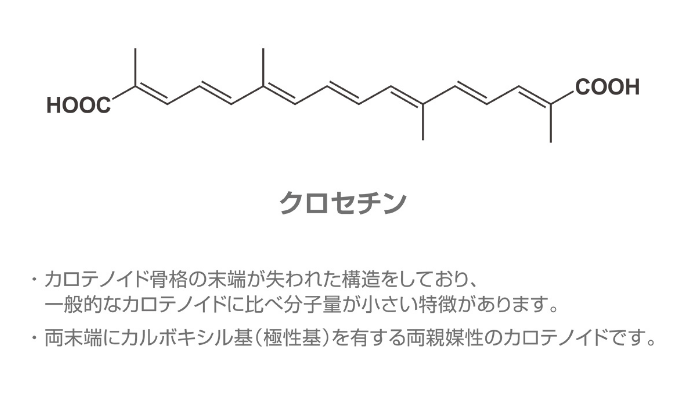 カロテノイド骨格の末端が失われた構造をしており、一般的なカロテノイドに比べ分子量が小さい特徴があります。 量末端にカルボキシル基(極性基)を有する両親媒性のカロテノイドです。