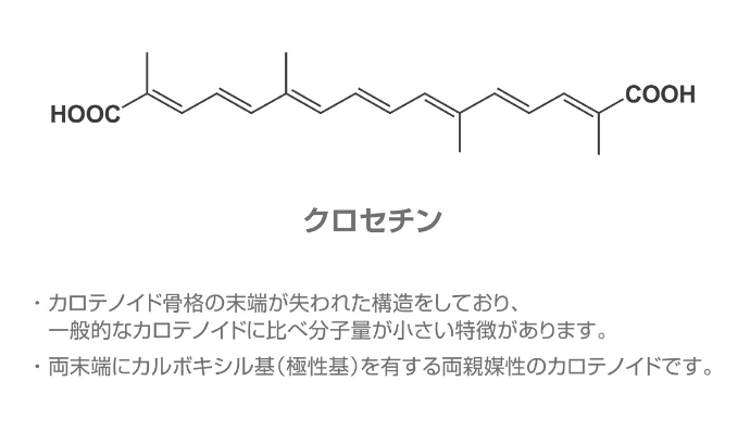 カロテノイド骨格の末端が失われた構造をしており、一般的なカロテノイドに比べ分子量が小さい特徴があります。 量末端にカルボキシル基（極性基）を有する両親媒性のカロテノイドです。