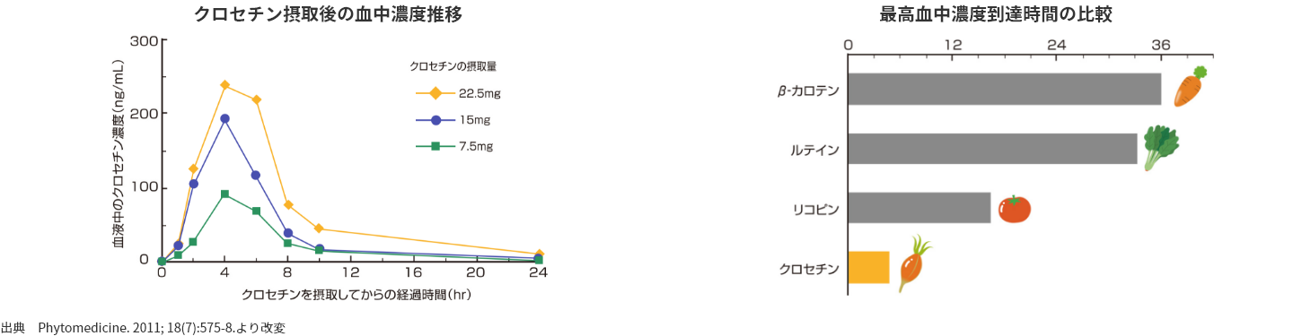 クロセチン接種後の血中濃度推移 最高血中濃度到達時間の比較