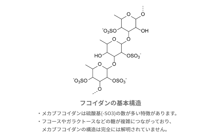 フコイダンの基本構造 メカブフコイダンは硫酸基（-SO3）の数が多い特徴があります。 フコースやガラクトースなどの糖が複雑につながっており、メカブフコイダンの構造は完全には解明されていません。