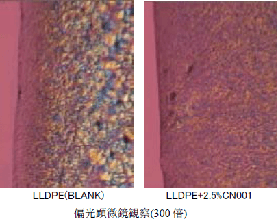 偏光顕微鏡観察（300倍）