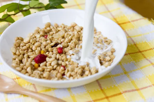 医薬品や健康食品向けに提供している天然由来のビタミンEをはじめとした各種ビタミンをご紹介します。