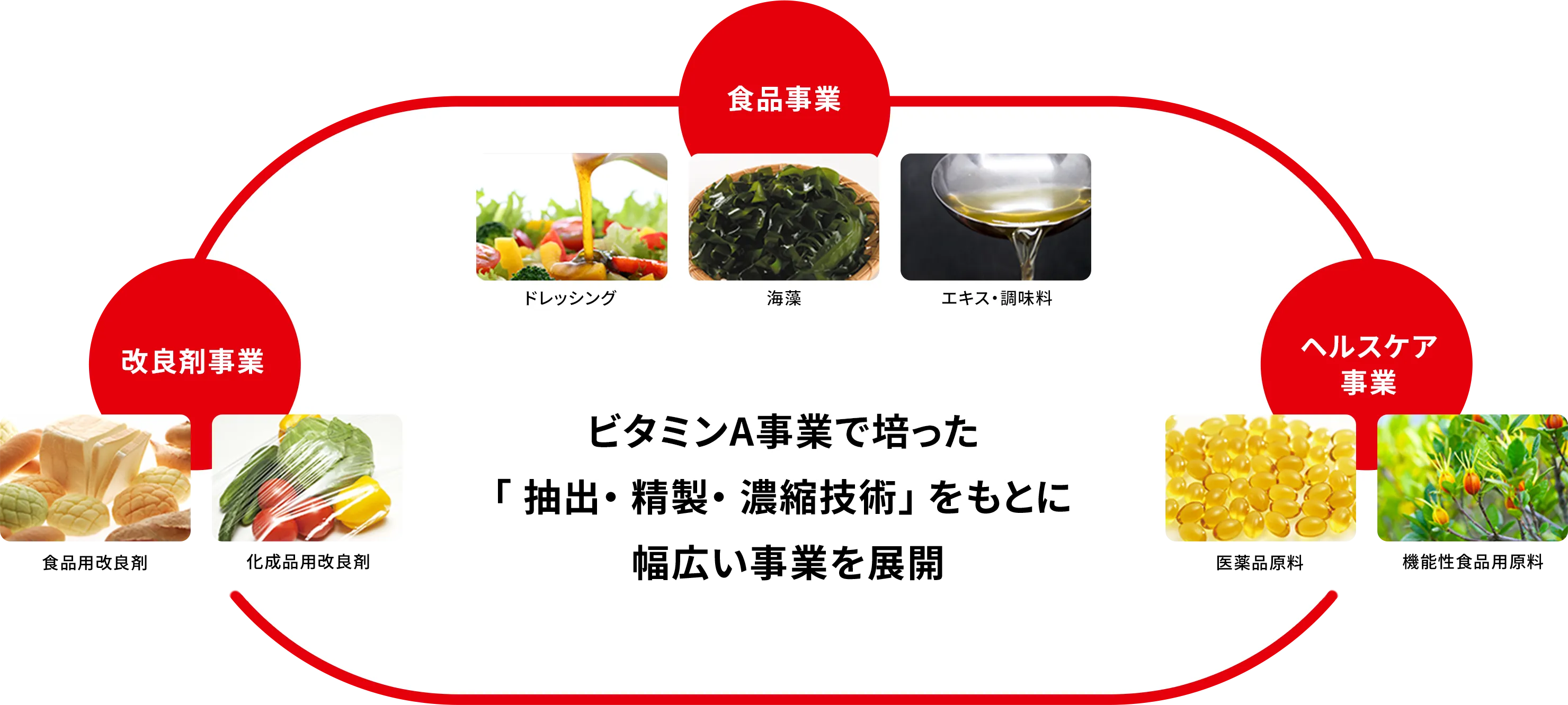 事業領域