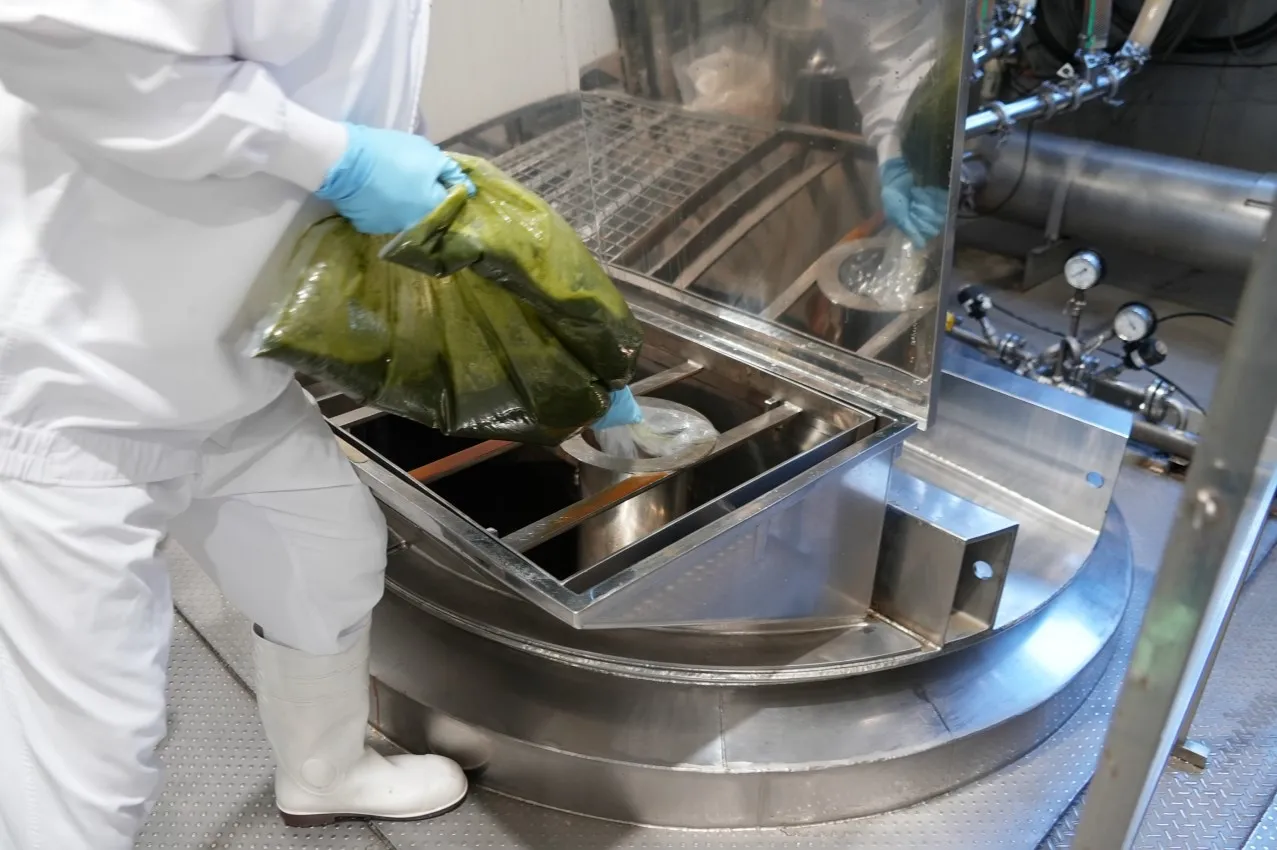 青じそ投入シーン