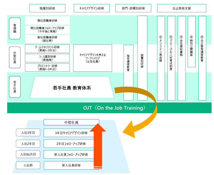 人材育成の体系図