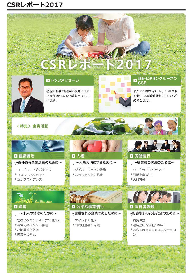 CSR report 2017