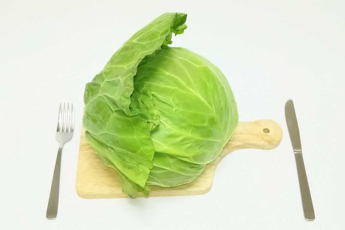 『リケンのノンオイル 青じそ』で味わう　春キャベツレシピ3選