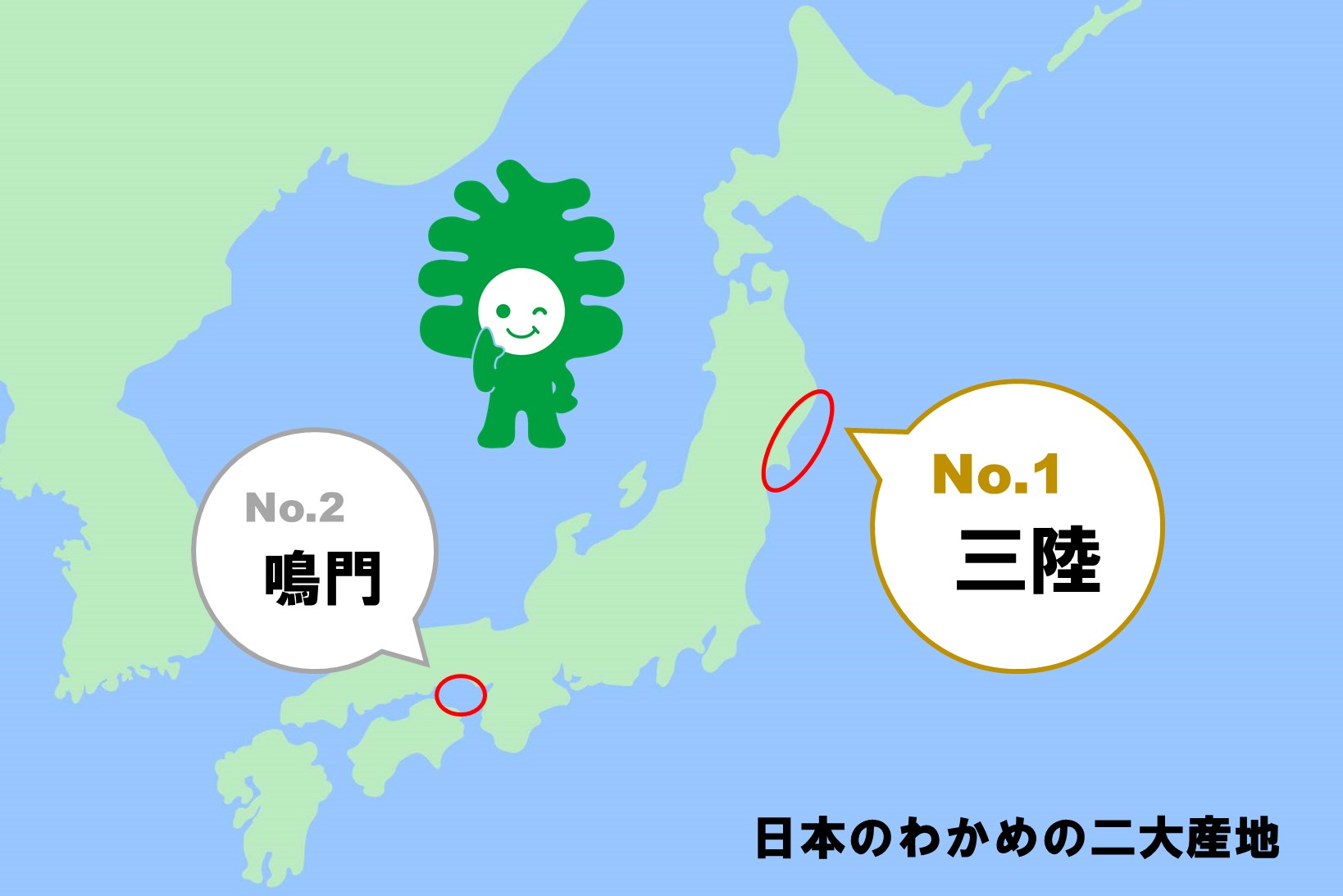 わかめってどこで収穫されるの？