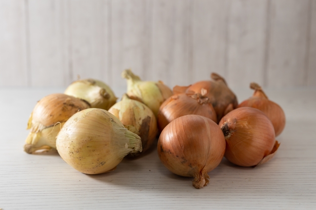 新玉ねぎの保存方法 新玉ねぎと普通の玉ねぎを並べた写真
