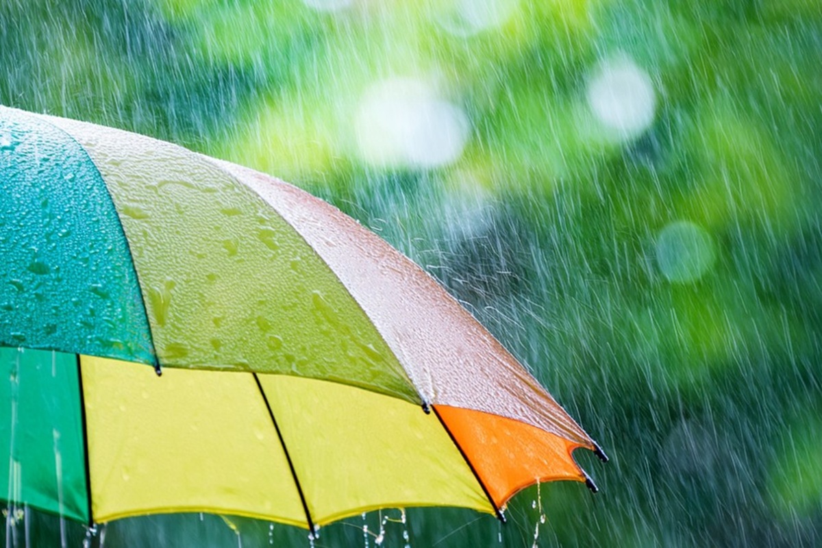 雨と傘の写真（梅雨のイメージ）