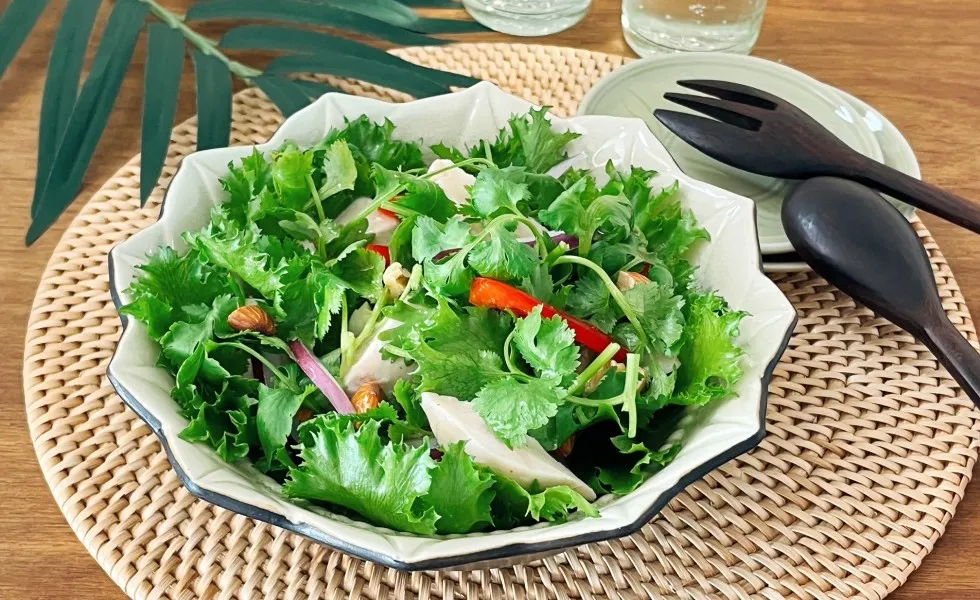 パクチーとチキンのエスニック風サラダ