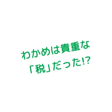 万葉集にわかめの歌が登場！