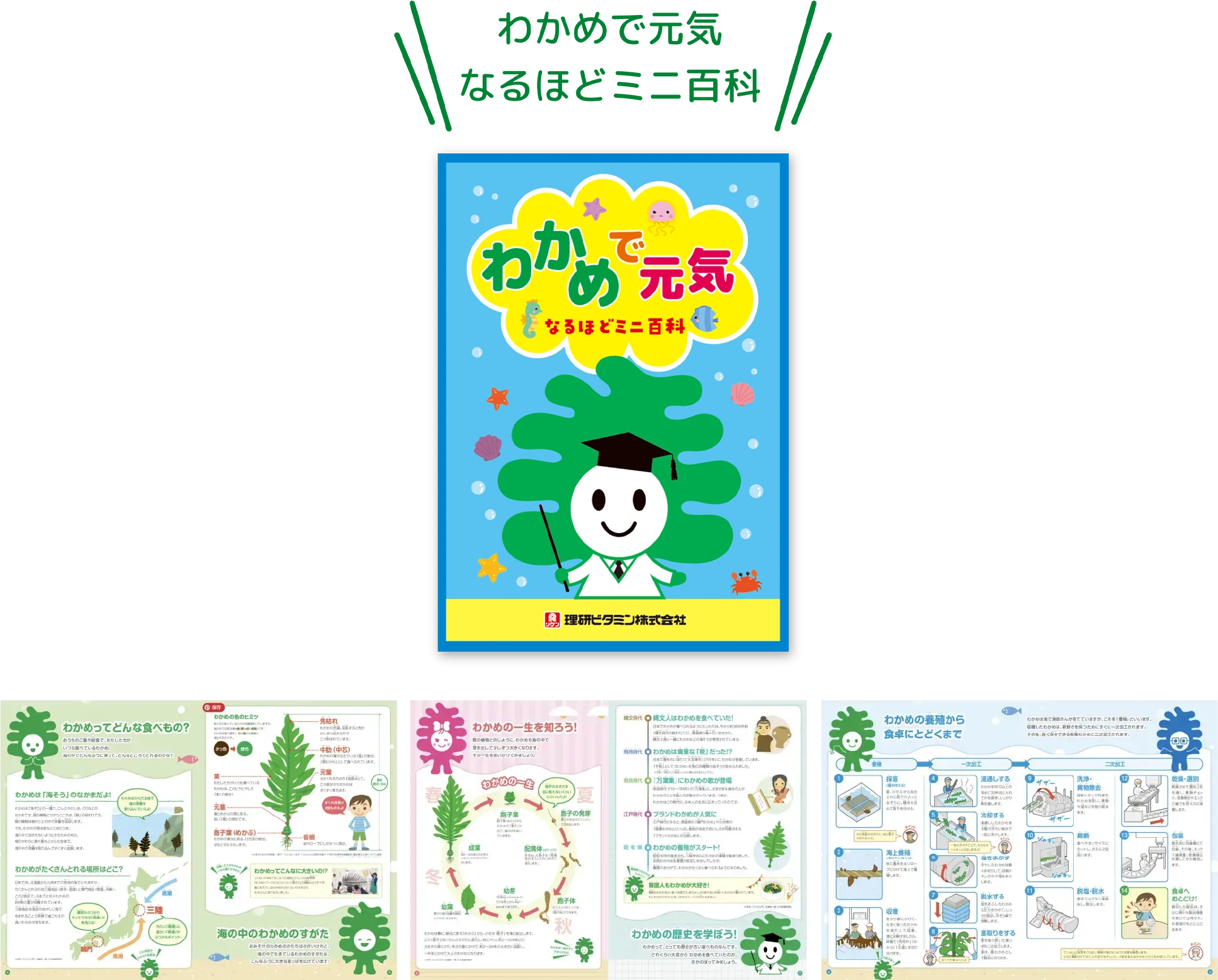 「わかめ学習」実施校レポート
