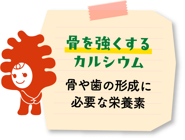 骨を強くするカルシウム　骨や歯の形成に必要な栄養素