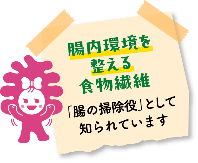 腸内環境を整える食物繊維 「腸の掃除役」として知られています