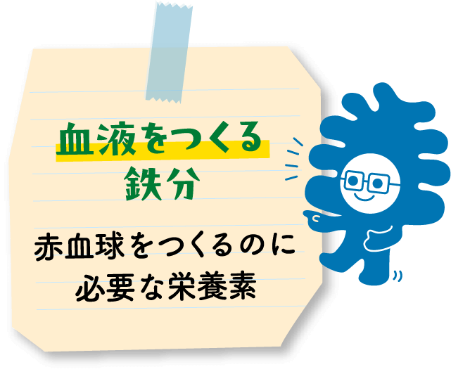 血液をつくる鉄分 赤血球をつくるのに必要な栄養素
