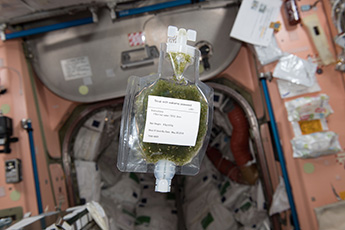 2018年3月12日 ISSにて（金井宇宙飛行士撮影）（C）宇宙航空研究開発機構（JAXA）