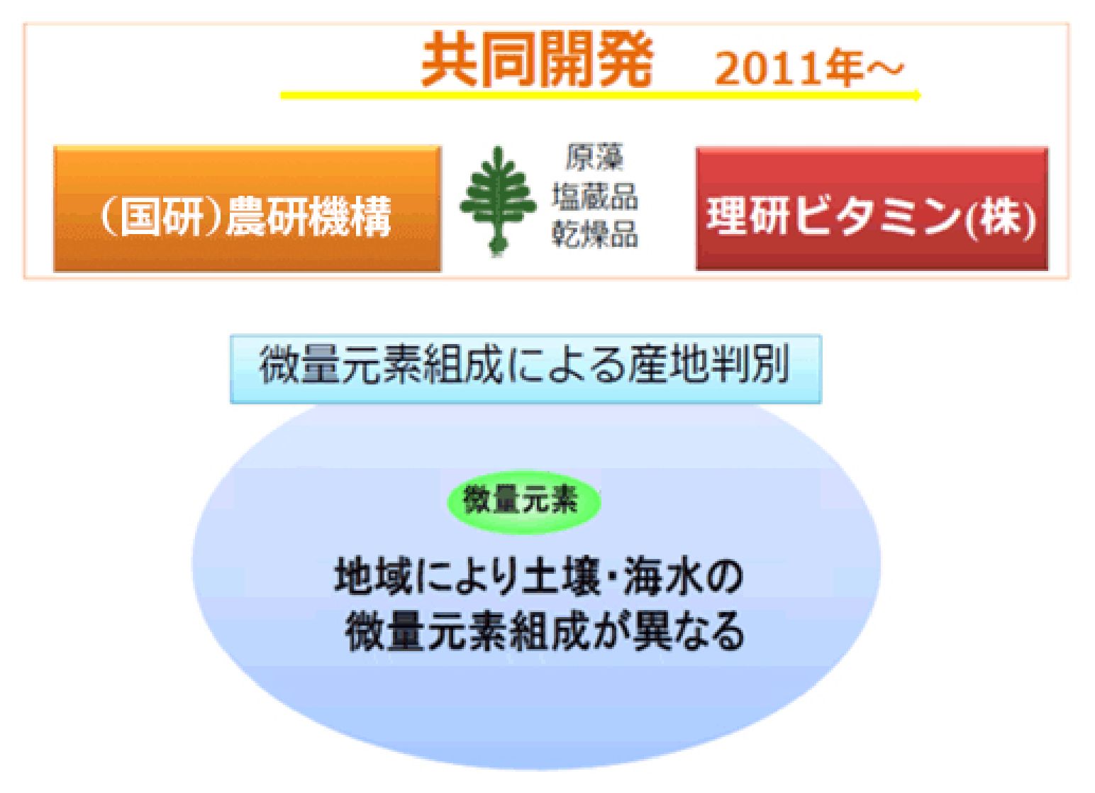 産地推定技術の開発