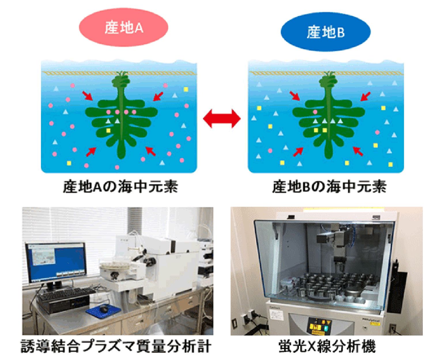 微量元素による産地判別の原理