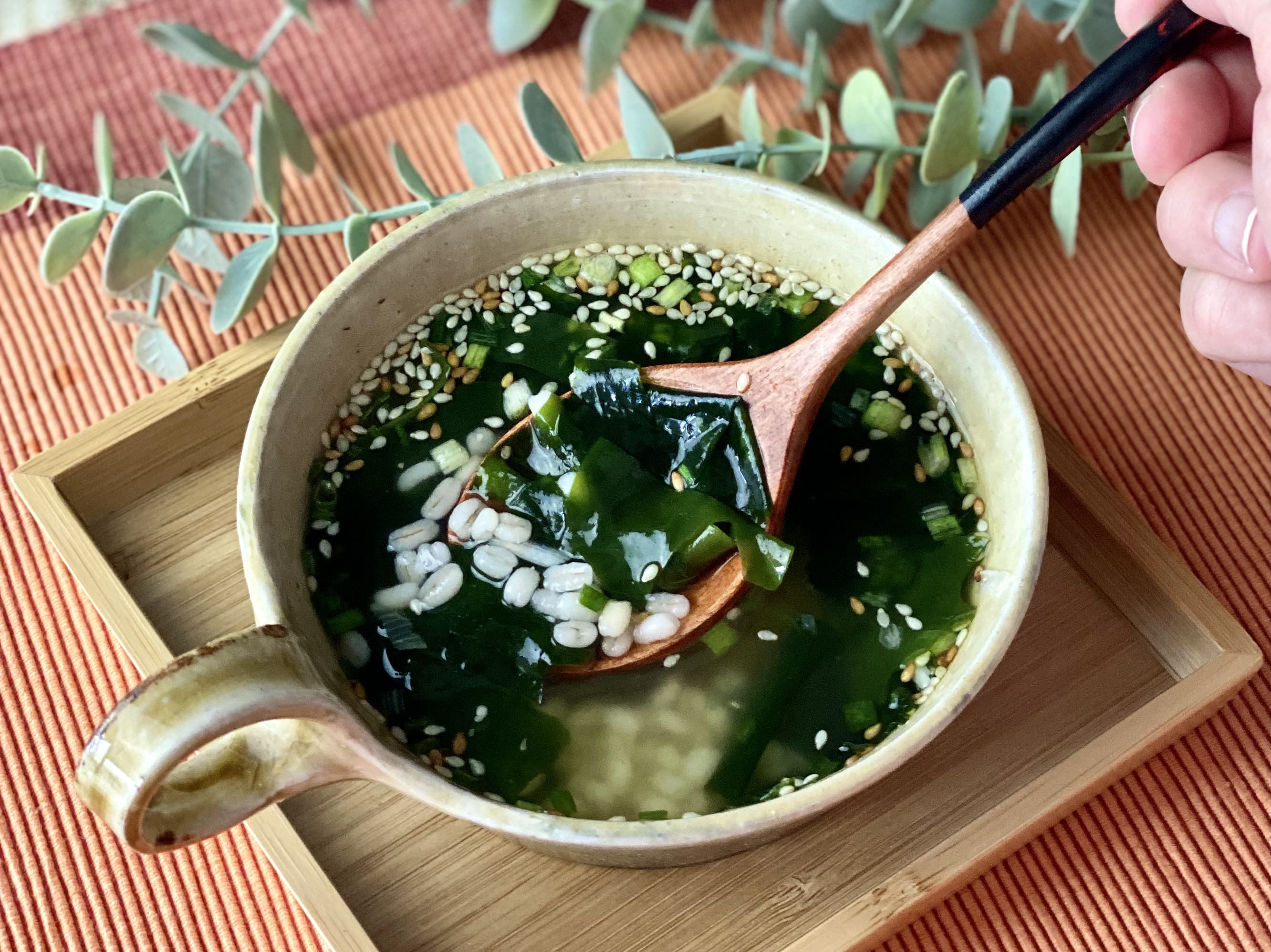 もちぷち もち麦入りわかめスープ もちぷち もち麦入りわかめスープ